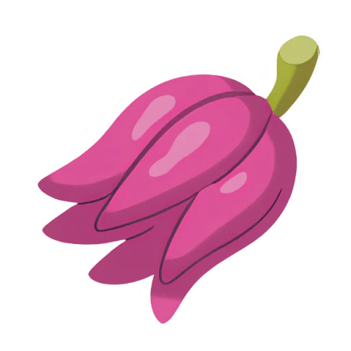 Kasib Berry Item [Legends Z-A]